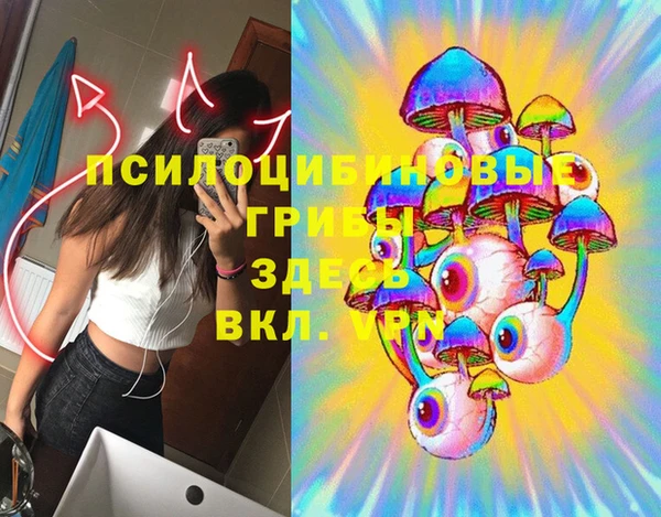 гидропоника Богородск
