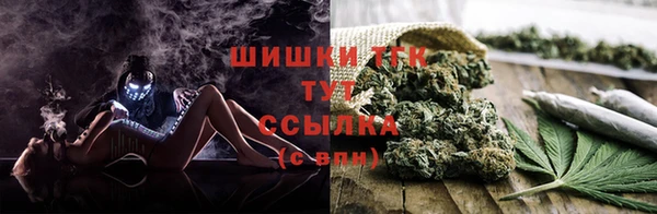 гидропоника Богородск