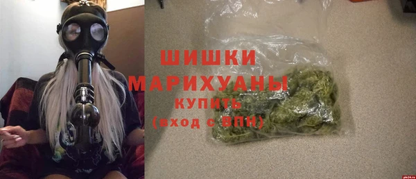гидропоника Богородск